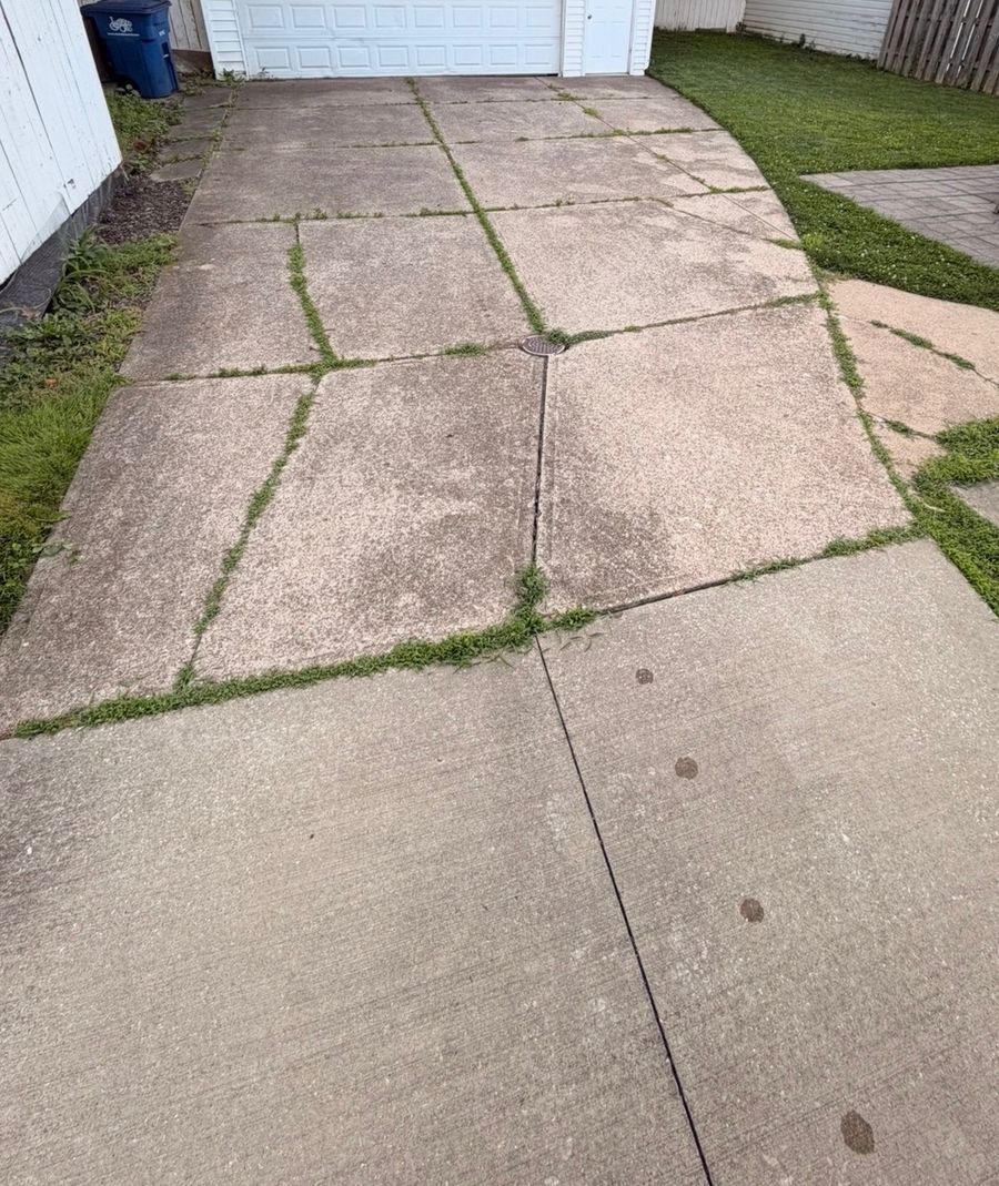 Paver walkway before cleaning, with weeds